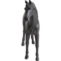 Kare Design KARE dekoracja CAVALLO 82 cm Kare Design KARE dekoracja CAVALLO 82 cm
