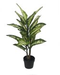 Kare Design KARE roślina dekoracyjna DIFENBACHIA 100 cm Kare Design KARE roślina dekoracyjna DIFENBACHIA 100 cm