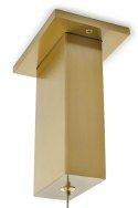 Moosee MOOSEE lampa wisząca RING 40 złota