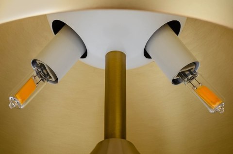 Moosee MOOSEE lampa biurkowa FUNGO złota Moosee MOOSEE lampa biurkowa FUNGO złota