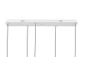 Moosee MOOSEE lampa wisząca CAPRI LINE 5 złota - 300 LED, aluminium, szkło Moosee MOOSEE lampa wisząca CAPRI LINE 5 złota - 300 LED, aluminium, szkło