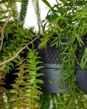 Moosee MOOSEE lampa wisząca GARDENS 50 czarna