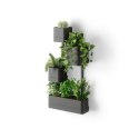 Umbra UMBRA zestaw doniczek CUBIKO czarny Umbra UMBRA zestaw doniczek CUBIKO czarny