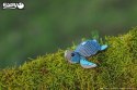 Eugy Eugy Układanka Eko 3D Żółwik Eugy Eugy Układanka Eko 3D Żółwik