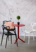 Intesi Bukszpan w białej donicy 38cm Intesi Intesi Bukszpan w białej donicy 38cm Intesi