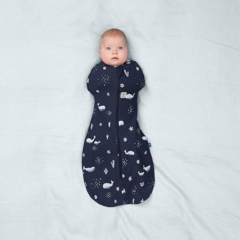 ErgoPouch ErgoPouch Otulacz Śpiworek 3-6M 1.0TOG Whale