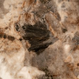 Richmond Interiors RICHMOND stolik kawowy LANGFORD brązowy