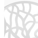D2.DESIGN Krzesło Coral White Glossy D2.DESIGN Krzesło Coral White Glossy
