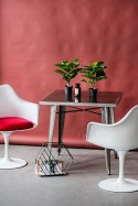 D2.DESIGN Krzesło TulAr białe/czerwona poduszka D2.DESIGN Krzesło TulAr białe/czerwona poduszka