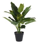 Intesi Roślina w donicy III 45cm Intesi Intesi Roślina w donicy III 45cm Intesi