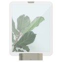 Umbra b.v. Fotoramka z podświetleniem 8X10nikiel,GLO Umbra b.v. Fotoramka z podświetleniem 8X10nikiel,GLO