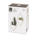 Umbra b.v. Zestaw 2 pojemników S Trigg biały/nikiel Umbra b.v. Zestaw 2 pojemników S Trigg biały/nikiel