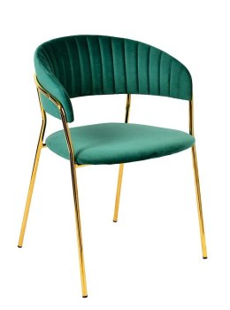 King Home Krzesło MARGO ciemny zielony - welur, podstawa metalowa złoty do domu i lokalu