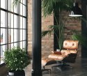 D2.DESIGN Fotel Vip czarny/natural oak/standard ba se D2.DESIGN Fotel Vip czarny/natural oak/standard ba se