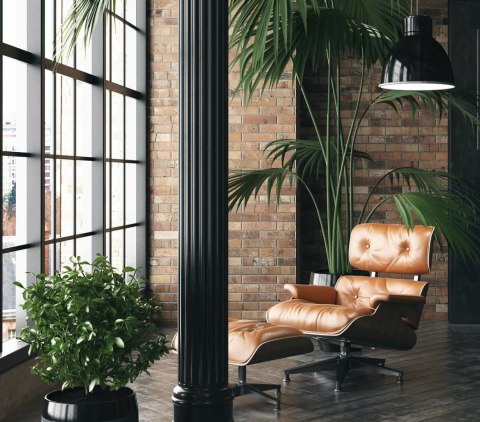 D2.DESIGN Fotel Vip czarny/natural oak/standard ba se D2.DESIGN Fotel Vip czarny/natural oak/standard ba se