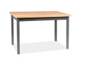 SIGNAL STÓŁ ADAM PROSTOKĄTNY NIEROZKŁADANY PŁYTA LAMINOWANA DĄB LANCELOT / STELAŻ ANTRACYT MDF 100x60 SIGNAL STÓŁ ADAM PROSTOKĄTNY NIEROZKŁADANY PŁYTA LAMINOWANA DĄB LANCELOT / STELAŻ ANTRACYT MDF 100x60