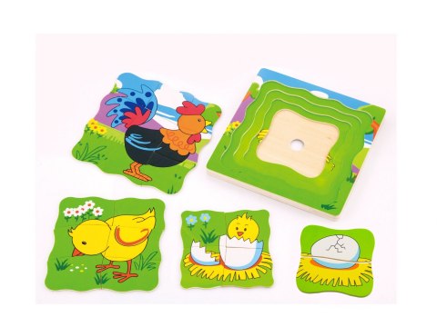Viga Viga 50113 Puzzle - jak rośnie kogucik Viga Viga 50113 Puzzle - jak rośnie kogucik