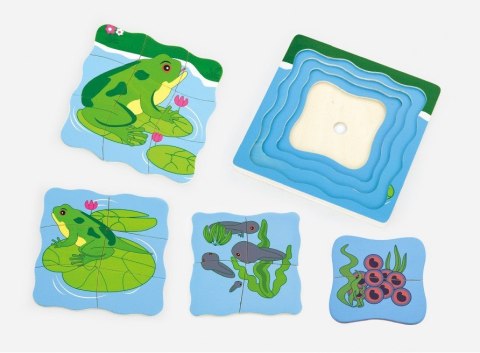 Viga Viga 59516vg Puzzle - jak rośnie żabka Viga Viga 59516vg Puzzle - jak rośnie żabka