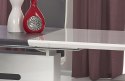 Halmar stół rozkładany MONACO 160-220x90 MDF laminowany MDF lakierowany biały / popiel stal nierdzewna Halmar stół rozkładany MONACO 160-220x90 MDF laminowany MDF lakierowany biały / popiel stal nierdzewna