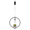 Intesi Lampka LED z rośliną Jante Intesi Intesi Lampka LED z rośliną Jante Intesi