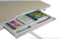 Fun Desk Biurko dziecięce Lavoro L Grey regulowane szare Fun Desk Biurko dziecięce Lavoro L Grey regulowane szare