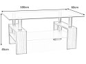 SIGNAL ŁAWA LISA BASIC TRANSP./VENGE 100x60x45 SIGNAL ŁAWA LISA BASIC TRANSP./VENGE 100x60x45