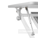 Fun Desk Colore Grey biurko regulowane białe szare Fun Desk Colore Grey biurko regulowane białe szare