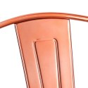 KRZESŁO Paris D2.DESIGN miedziane insp. Tolix METAL LAKIEROWANY ELEGANCKIE WYGODNE I STABILNE KRZESŁO Paris D2.DESIGN miedziane insp. Tolix METAL LAKIEROWANY ELEGANCKIE WYGODNE I STABILNE