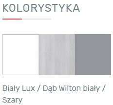 SZAFA JEDNODRZWIOWA Z SZUFLADAMI REGAŁ MŁODZIEŻOWY COMO System CM4 Meblar Biały Lux /Dąb Wilton biały /Szary LAMINAT OBRZEŻA ABS SZAFA JEDNODRZWIOWA Z SZUFLADAMI REGAŁ MŁODZIEŻOWY COMO System CM4 Meblar Biały Lux /Dąb Wilton biały /Szary LAMINAT OBRZEŻA ABS