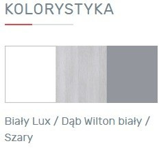 BIURKO MŁODZIEŻOWE - Biały Lux / Dąb Wilton biały / Szary Meblar COMO System CM9 SZAFKA PÓŁKI SZUFLADY PŁYTA LAMINOWANA BIURKO MŁODZIEŻOWE - Biały Lux / Dąb Wilton biały / Szary Meblar COMO System CM9 SZAFKA PÓŁKI SZUFLADY PŁYTA LAMINOWANA