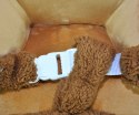 Milly Mally Miś Polly - Brown Bear Milly Mally Miś Polly - Brown Bear