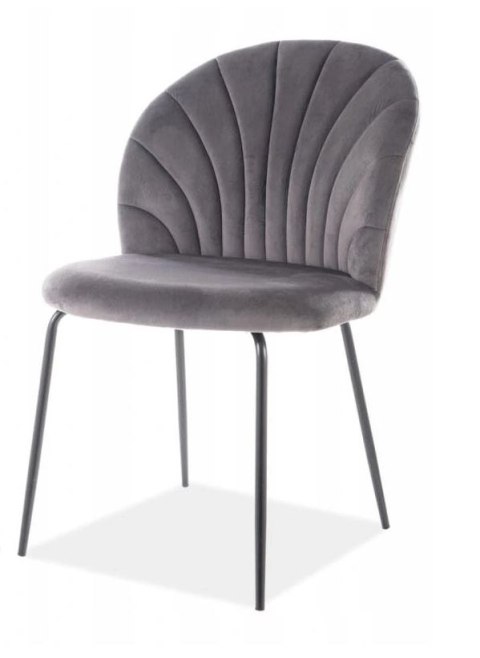 SIGNAL KRZESŁO LOLA VELVET CZARNY STELAŻ/ SZARY TAP.72 SIGNAL KRZESŁO LOLA VELVET CZARNY STELAŻ/ SZARY TAP.72