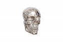 Invicta Interior INVICTA dekoracja ścienna SKULL srebrna metalowa Invicta Interior INVICTA dekoracja ścienna SKULL srebrna metalowa