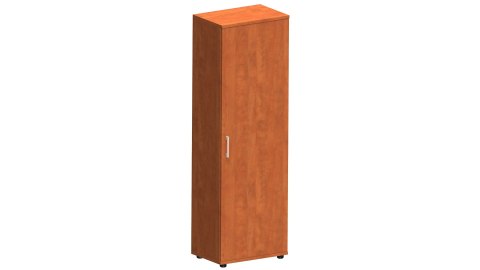 Meble Biurowe Szafy Silver S60-5 Szafa ubraniowa grusza polna Meble Biurowe Szafy Silver S60-5 Szafa ubraniowa grusza polna