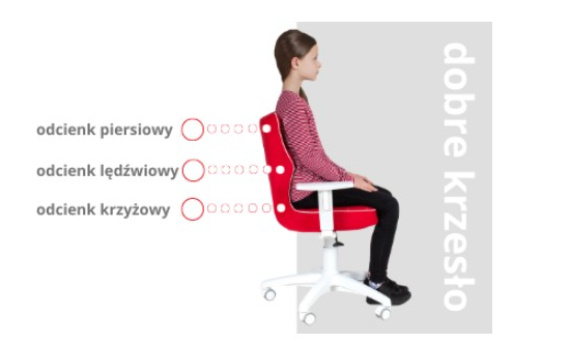 Jak krzesło wpływa na prawidłową postawę dziecka?